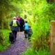 Glenfarne Forest Woods Walk