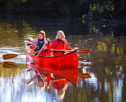 Tranquil canoe journey in Leitrim